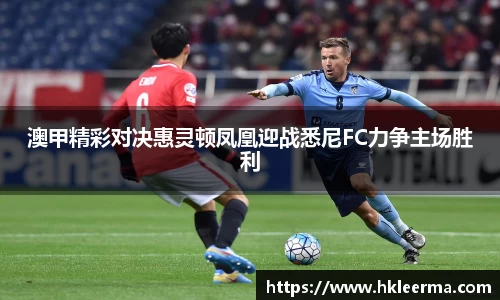 中欧体育