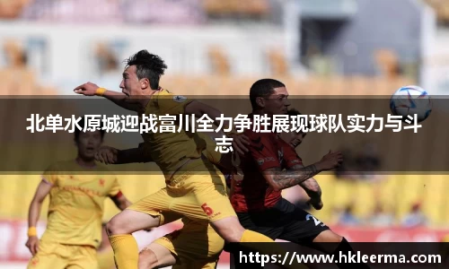 中欧体育官网